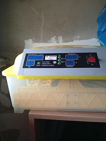 İnkubatorlar: Yumurta inkubatoru – rəqəmsal idarəetmə paneli ilə - Model: Egg — 1