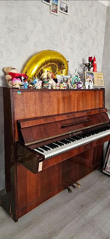 Piano, Belarus, Akustik