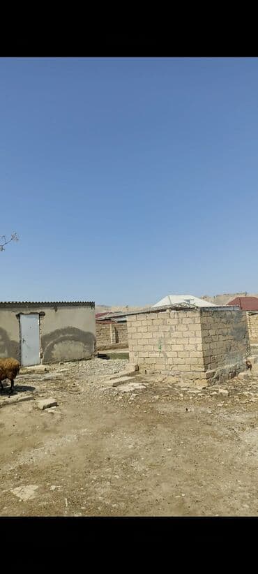 memar ecemi kiraye ev: 10 sot, Mülkiyyətçi — 6