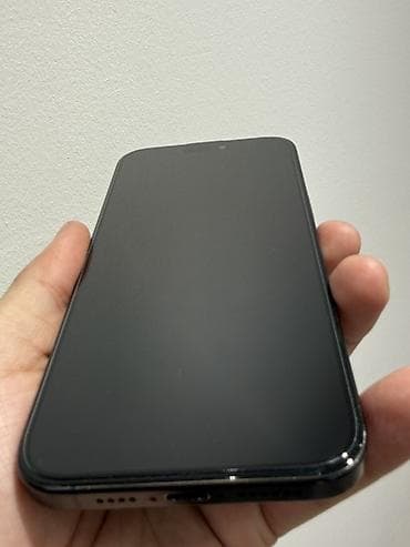 hp 15: IPhone 15 Pro Max, 256 GB, Mavi, Face ID — 6