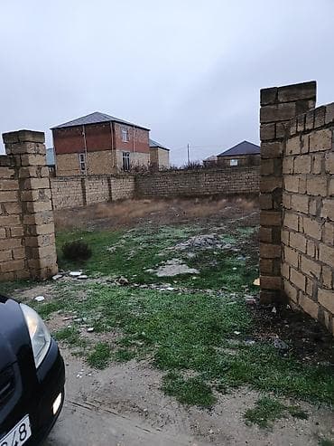 Bağ evləri: Kənd təsərrüfatı, Mülkiyyətçi, Kupça (Çıxarış) — 2