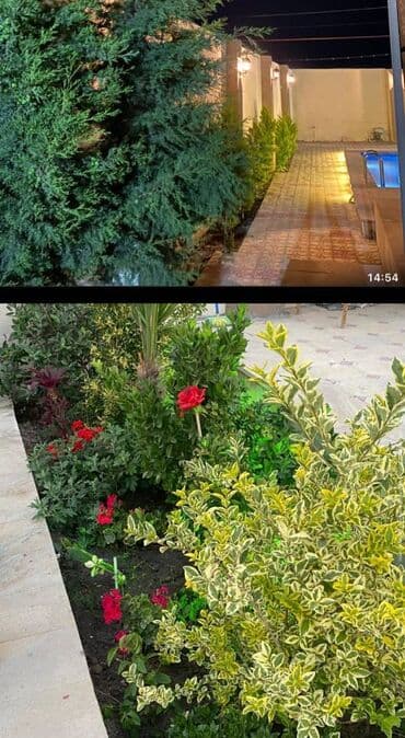 qaracuxurda ev: 200 kv. m, 4 otaqlı, Kombi, Kanalizasiya, İşıq — 13