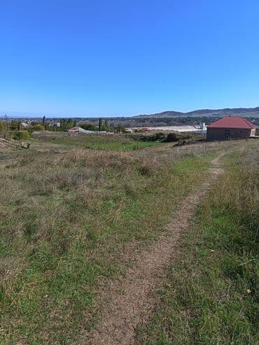 31 sot, Tikinti, Barter mümkündür, Kupça (Çıxarış)