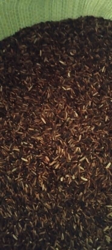 Чай, кофе, напитки: Məhsul: Qara düyü (uzunsov dənəli) Təsvir: - Tünd-qəhvəyi–qara — 1