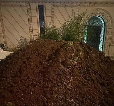 su termusu: Qara torpaq – bağ və landşaft işləri üçün - Bitki üçün qida maddələri — 4