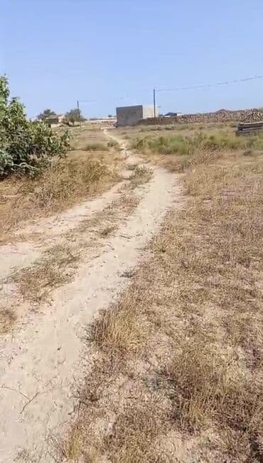 elite: 44 sot, Tikinti, Mülkiyyətçi, Bələdiyyə — 8