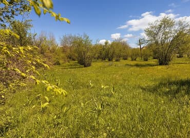 30 sot, Tikinti, Barter mümkündür, Kupça (Çıxarış) lalafo.az -da 30 sot, Tikinti, Barter mümkündür, Kupça (Çıxarış)