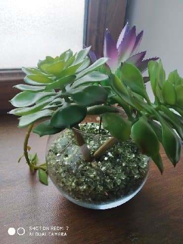 цветы искусственные: ИКЕА дерокация : 3 каменных цветка (искусственные).,щебень зелёного — 1