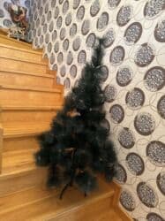 Digər ev dekoru: Yeni il ağacları — 1