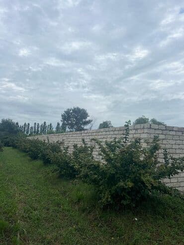 tap az evler kirayə xudat xacmaz qubada: Bakı, 100 kv. m, 3 otaqlı, Hovuzsuz, Qaz, İşıq, Su — 22