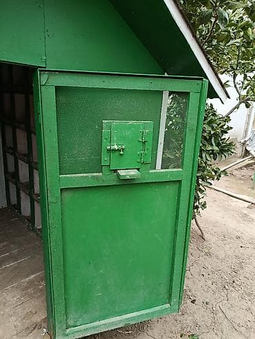 qarderob yuvası: Göy rəngli taxta quşxana/sərçəxana - Material: taxta karkas, taxta — 2