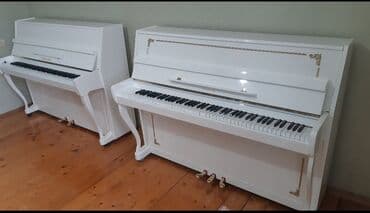 флейта музыкальный инструмент: Пианино, Акустический — 3