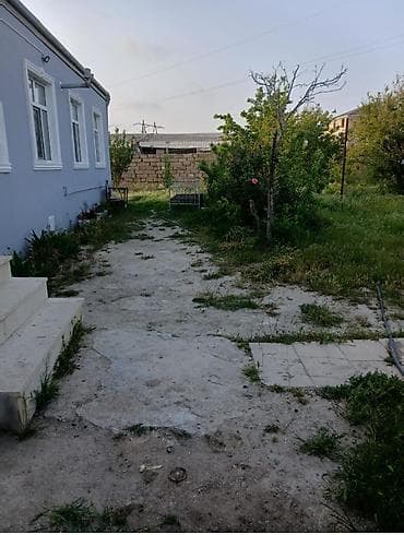 Bağ evlərinin satışı: 15 sotdadi 4 sot qanuni kupca qalanida kupcada qeyd olunub bag sahesi — 3