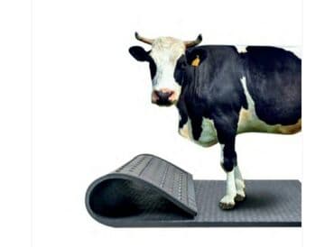 qoyun qirxan masinka: Heyvan yatakları. Heyvan döşəyləri Heyvan yataqları. Türkiyə — 5