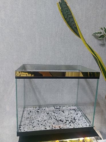 aqvarium: Qold Akvaryum çox gözəl görnüşə malikdi yenidi ölçü 35×22×29 bunan — 4