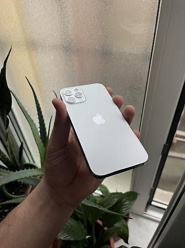 IPhone 12 Pro, 128 ГБ, White Titanium, Отпечаток пальца, Face ID, С документами