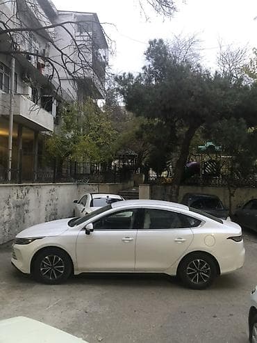 Avtomobil satışı: BYD Qin Plus DM-i sedan – ağ kuzovlu, hibrid (plug-in) model. Əsas — 5