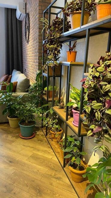 9 mkr yeni tikililer: 2 otaqlı, Yeni tikili, m. Nizami, 70 kv. m — 7