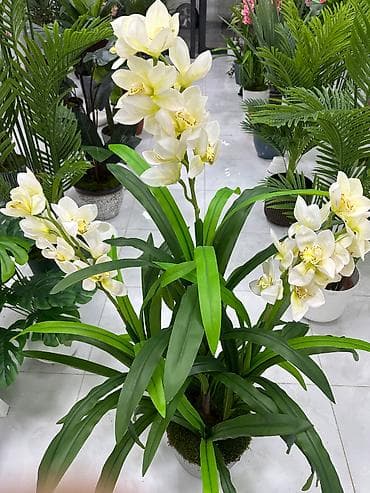 divar dekoru: Orxideya gülü, süni ağaclar — 2