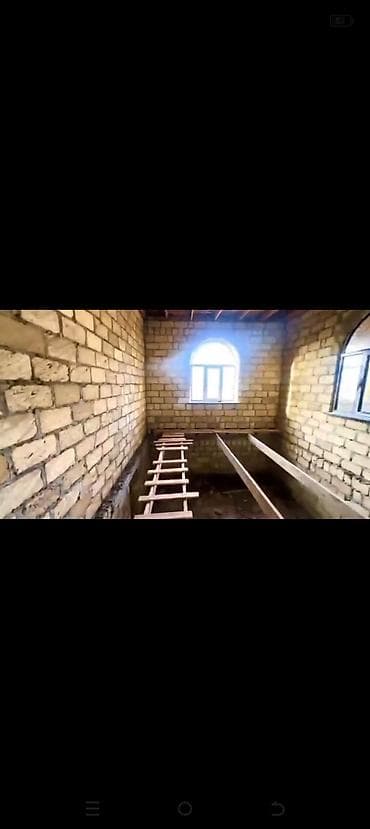 masazır torpaq satışı: Tikinti — 8