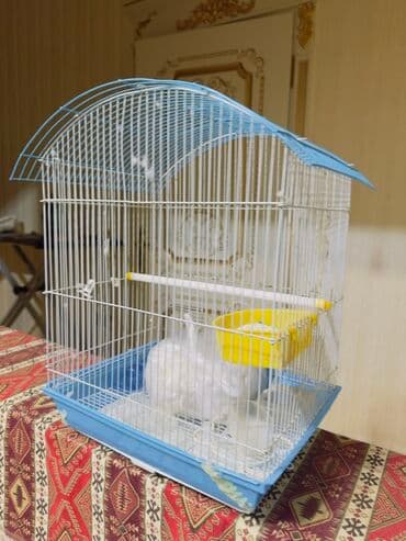 quş yuvasi: Qəfəs – quşlar üçün - Material: ağ metal barmaqlıq, möhkəm plastik — 2