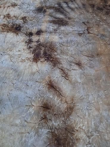 köhnə xalca: Xalça Dekorativ, Kredit yoxdur — 7