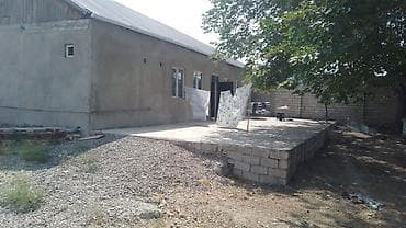 avto qaraj az: Mülkiyyətçi, Kupça (Çıxarış) — 2
