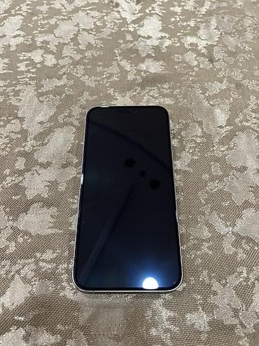 IPhone 15 Pro Max, Gümüşü