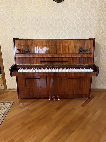 Piano, Belarus, Akustik