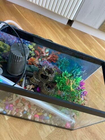 hava matoru: Akvaryum dəsti – şirin su balıqları üçün Komplekt: - Şüşə akvaryum — 2