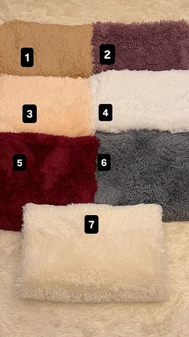 Yeni Pled, Pulsuz çatdırılma, Ödənişli çatdırılma, Rayonlara çatdırılma