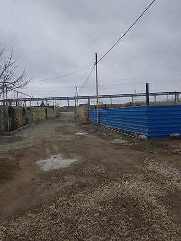 Kirayə otaqlar: 1 otaqlı həyət evi – sadə və işıqlı daxili plan - Tək otaqlı yaşayış — 7