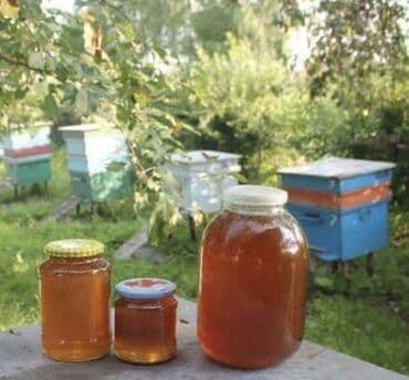 gül toxumlari: Təbii arıçılıq balı - Məhsul: Şəffaf qızılı rəngli, ətirli çiçək balı — 1