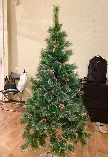 avokado ağacı: Yolka Yolka satisi teze mallar endirimde Yeni il Yeni il ağacı Yolka — 3