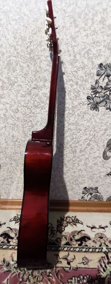 Səs avadanlığı: Gitara akustik cexol hədiyə — 1