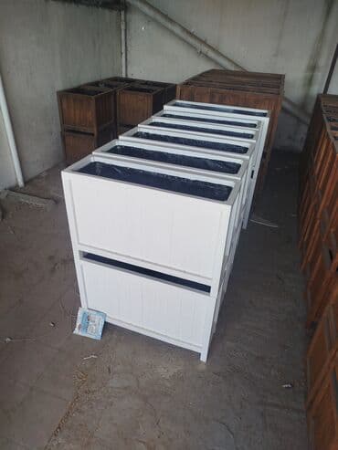 gül toxumları satışı: Sifariş qəbul olunur — 4