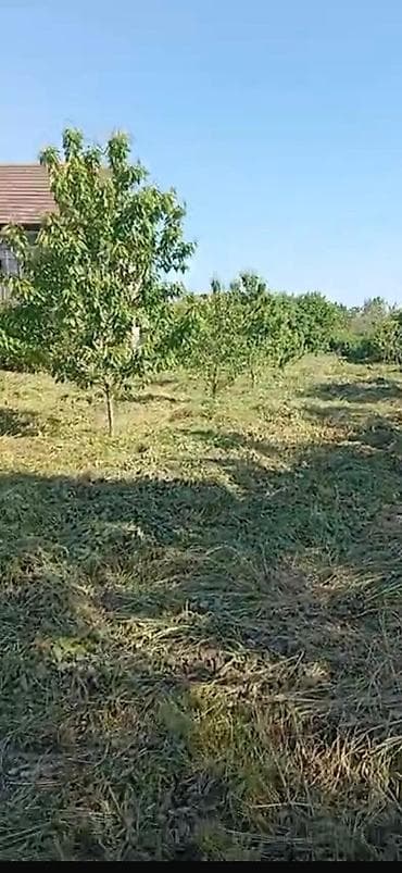 Земельные участки: 18 соток, Для сельского хозяйства, Риэлторам не беспокоить, Купчая, Техпаспорт — 2