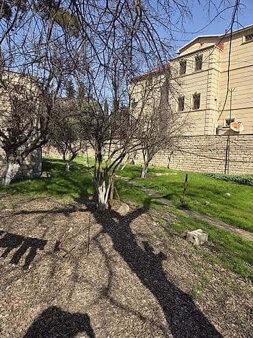 saganda torpaq: 10 sot, Tikinti, Makler, Kupça (Çıxarış) — 4