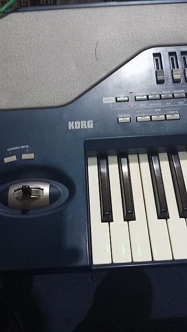 akustik gitara simi: Sintezator, Korg, İşlənmiş, Ünvandan götürmə — 4