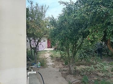 vila: 6 otaqlı, 350 kv. m, Kredit yoxdur, Yeni təmirli — 5