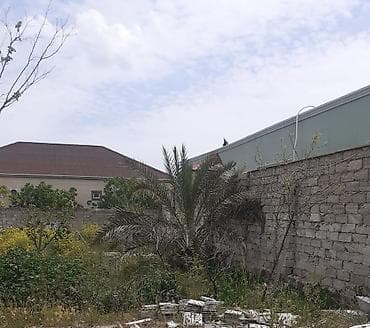 3 sot, Tikinti, Kupça (Çıxarış)