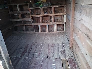 toyuq yuvası: Taxta quşxana / toyuq kümesi - Material: qalın taxta lövhələr və — 4