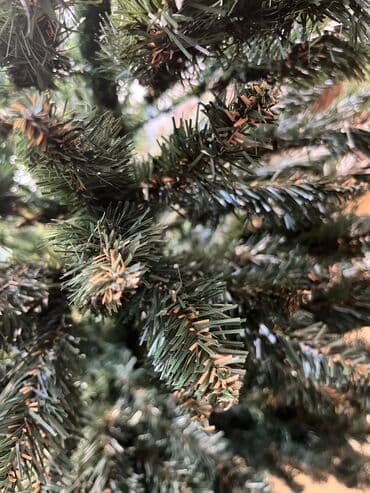 Bitkilər: Şam ağacı 180 sm — 2