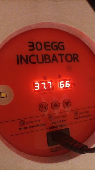 Металлоискатели: Полностью автоматическая — 1