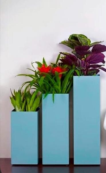 dibcək: Dibcekler — 2