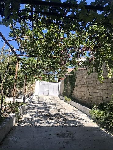 yaşma bağlarında evlərin qiyməti: Torpaq sahəsi – şəhərətrafı məhəllədə, hasarlı həyət və darvazalı — 4
