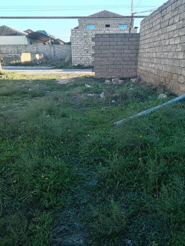 xəzər rayonu binə qəsəbəsi: 2 sot, Kupça (Çıxarış) — 3