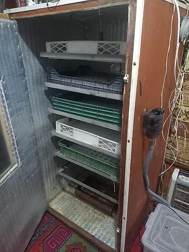 бизнес в баку: Inqvator — 3