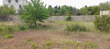 qaxda torpaq ve ev elanlari: 10 sot, Tikinti, Makler, Kupça (Çıxarış) — 2