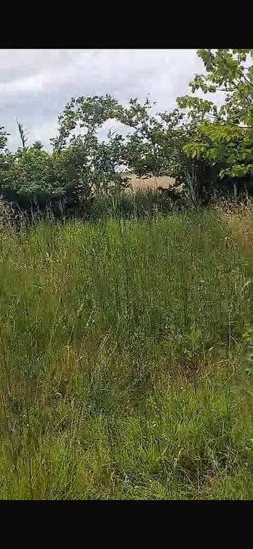 bolt hansi masinlari qebul edir: 150 sot, Biznes üçün, Barter mümkündür, Kupça (Çıxarış) — 3